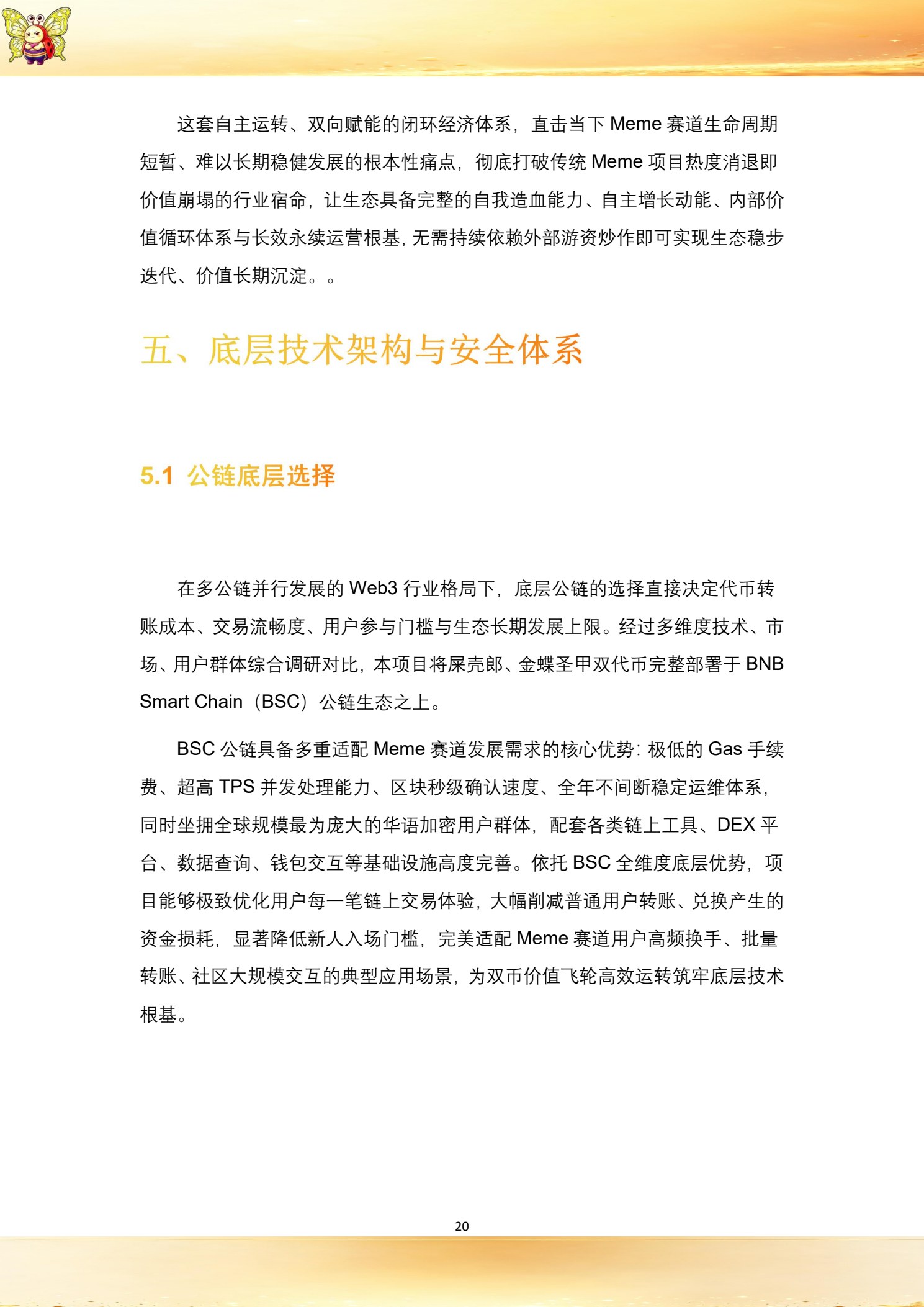 白皮书第 22 页